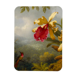 Orchideen und Hummingbird Heade Magnet