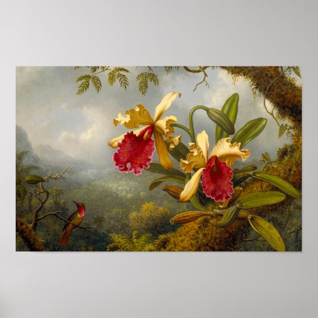 Orchideen und Hummingbird Heade Poster (Vorne)