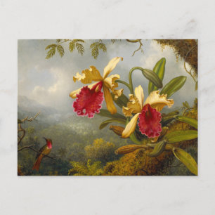 Orchideen und Hummingbird Heade Postkarte