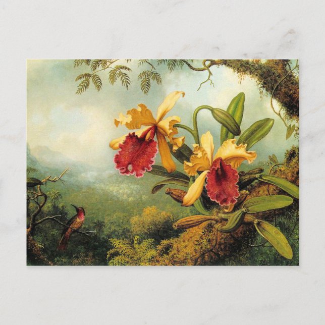 Orchideen und Hummingvögel Postkarte (Vorderseite)