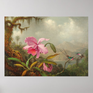 Orchideen und Kolibri von Martin Johnson Heade P Poster