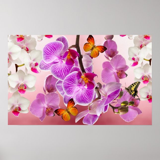Orchideen und Schmetterlinge Poster (Vorne)
