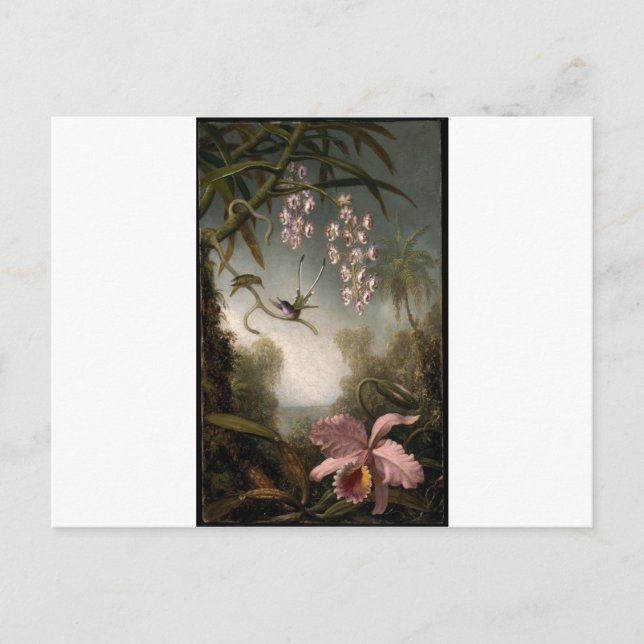 Orchideen und Spray Orchideen mit Hummingbird von  Postkarte (Vorderseite)