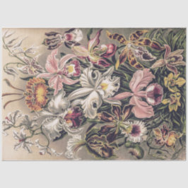 Orchideen von Ernst Haeckel Decoupage Seidenpapier