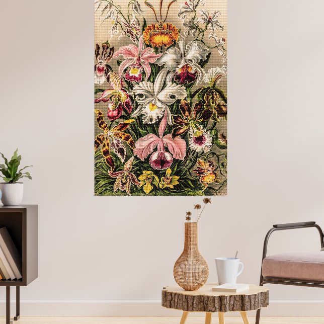 Orchideen von Ernst Haeckel Poster (Wohnzimmer 3)
