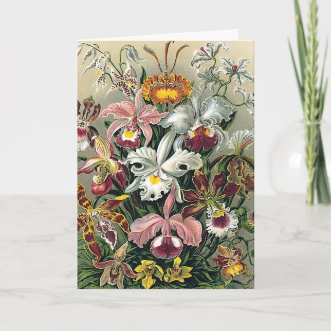 Orchideen von Haeckel Dankeskarte (Vorderseite)