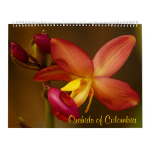 Orchideen von Kolumbien-Kalender 2013 Kalender
