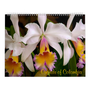 Orchideen von Kolumbien-Kalender 2013 Kalender