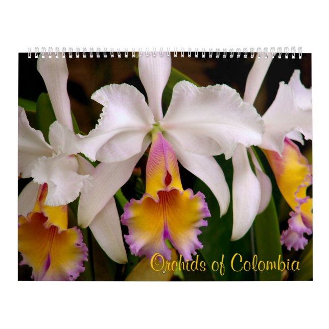 Orchideen von Kolumbien-Kalender 2013 Kalender (Titelbild)