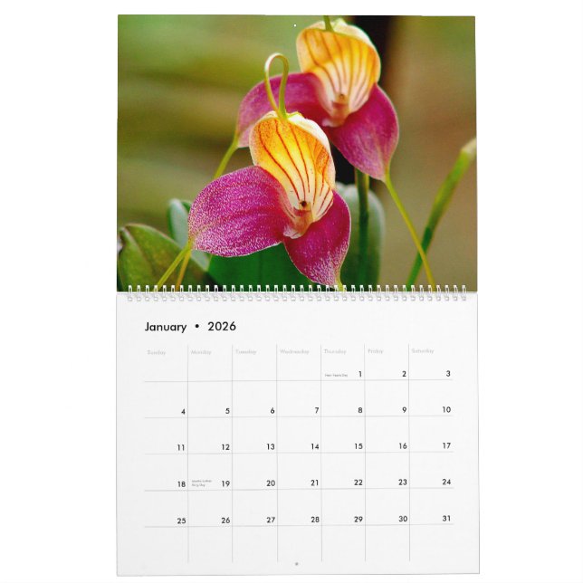 Orchideen von Kolumbien-Kalender 2014 Kalender (Jan 2026)