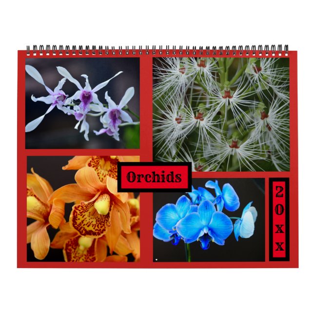 Orchideen-Wandkalender Kalender (Titelbild)