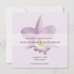 Orchideenblüte violett moderne Hochzeit speichern  Save The Date