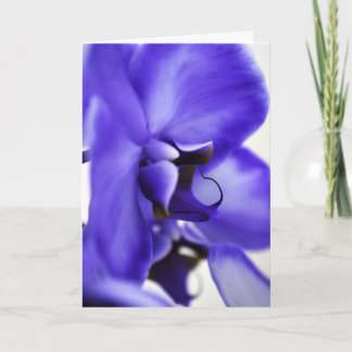 Orchideenblüten-Blumenfotografie, 5x7 Grußkarte Karte