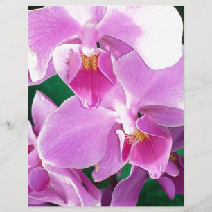 Orchideenblüten in rosa
