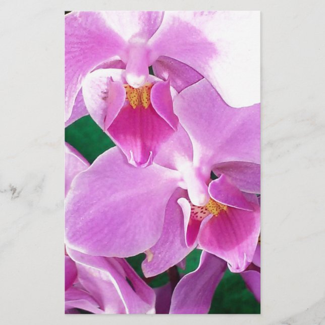 Orchideenblüten in rosa briefpapier (Vorderseite)