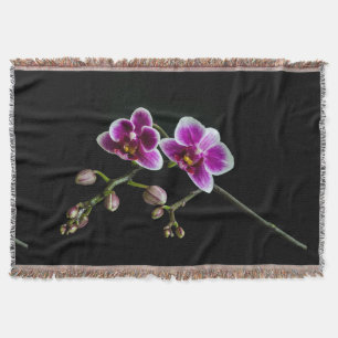 Orchideenfarbe in rosa Farbe in schwarz Decke