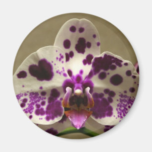 Orchideenmagnet Magnet