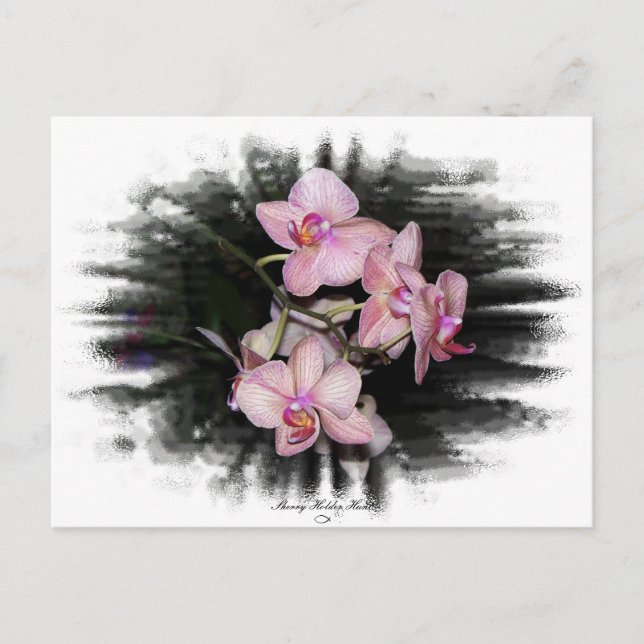 Orchideenrahmen 1 postkarte (Vorderseite)
