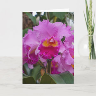 Orchideenschönheit Karte