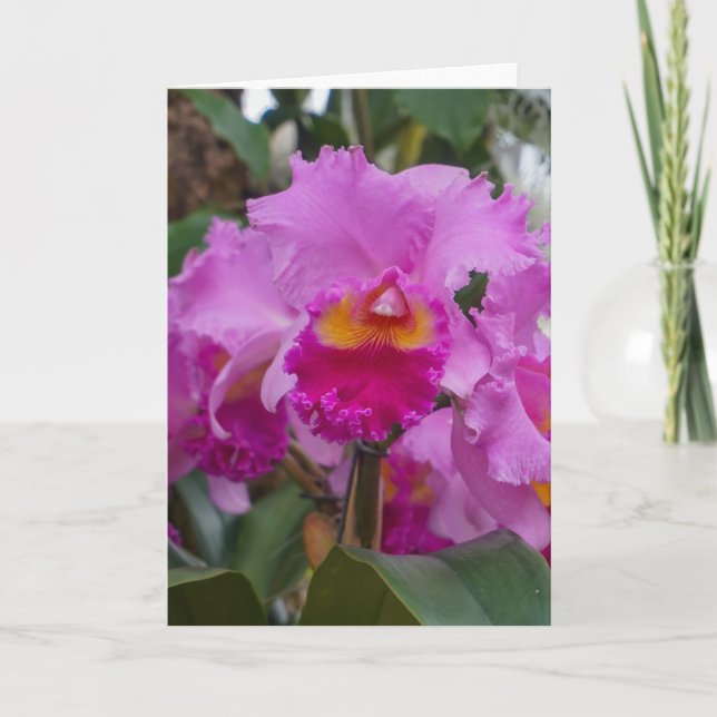 Orchideenschönheit Karte (Vorderseite)