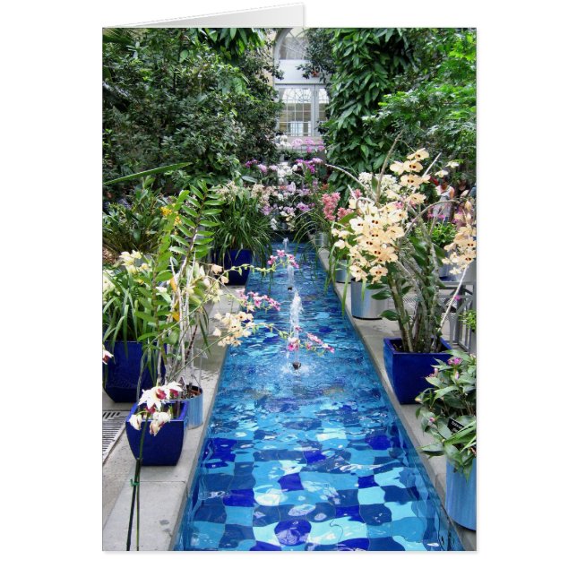 Orchideenshow (Vorne)