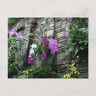 Orchideenwand Postkarte