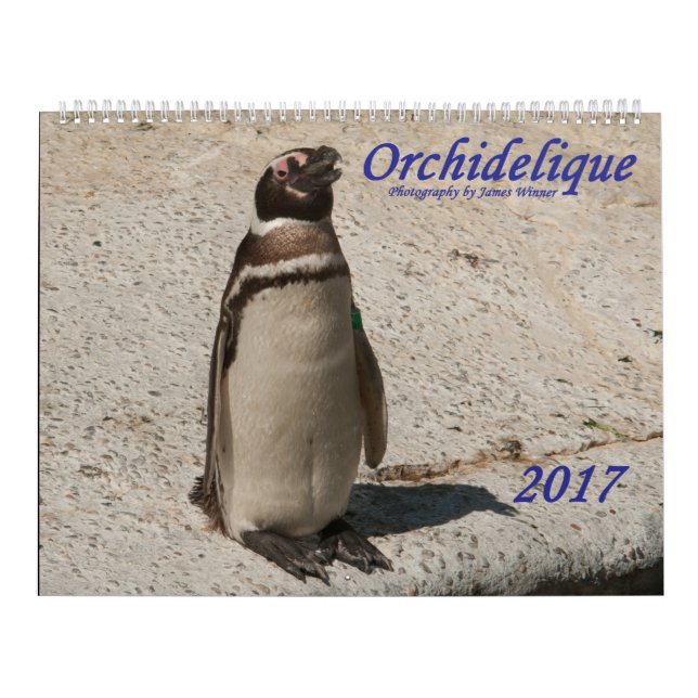 Orchideliques 2017 Tier-Kalender Kalender (Titelbild)