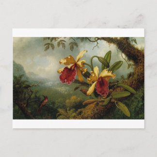 Orchids and Hummingbird von Martin Johnson Heade Postkarte