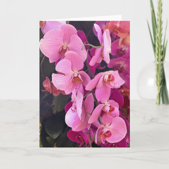 Orchids Blank Note Card Dankeskarte (Vorderseite)