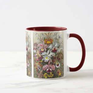 Orchids Ernst Haeckel Fine Art Tasse
