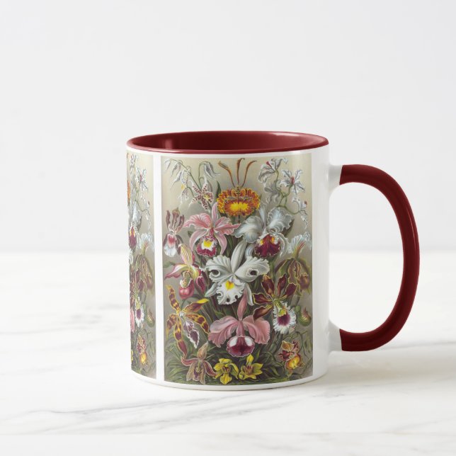 Orchids Ernst Haeckel Fine Art Tasse (Rechts)