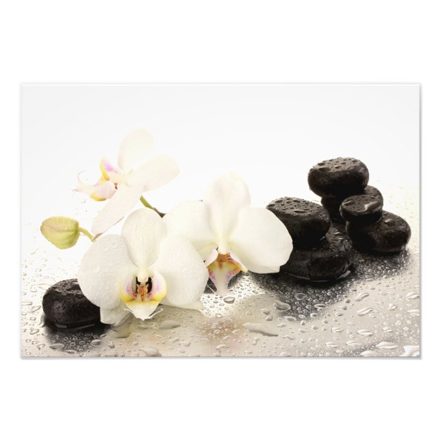 Orchids Foto Print (Vorne)