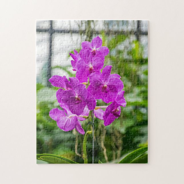 Orchids-Foto-Puzzle Puzzle (Vertikal)