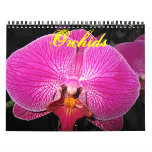 Orchids-Fotokalender Kalender