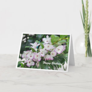 Orchids Geburtstagskarte Karte