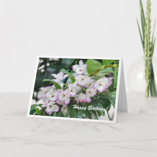 Orchids Geburtstagskarte Karte (Vorderseite)