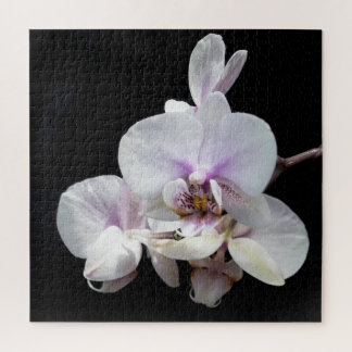 Orchids Jigsaw Puzzle