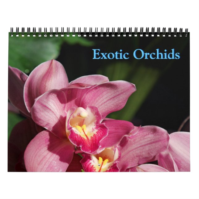 Orchids-Kalender Kalender (Titelbild)