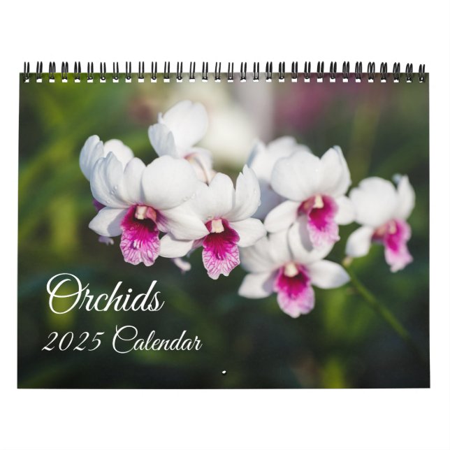 Orchids-Kalender Kalender (Titelbild)