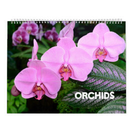 Orchids-Kalender mit 12 Monaten Kalender