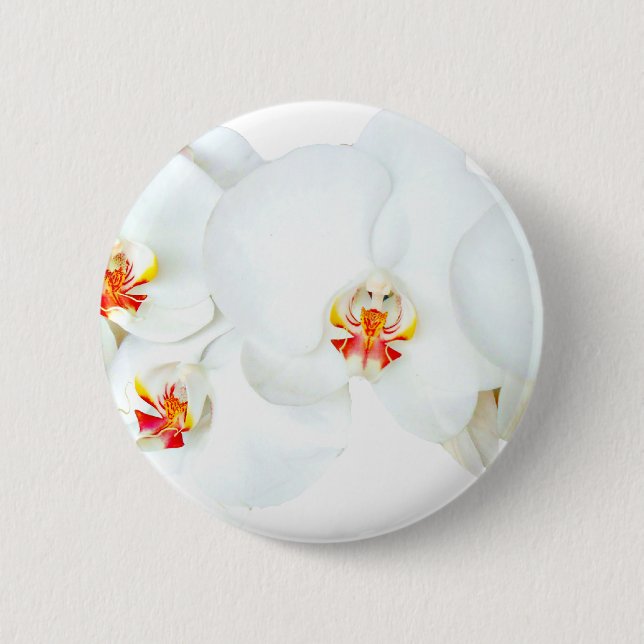 Orchids Liebe_ Button (Vorderseite)