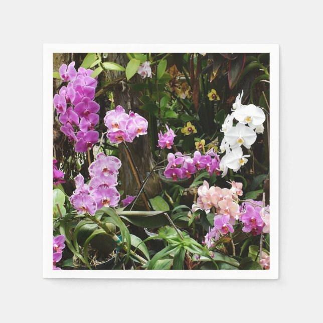 Orchids Paper Napkins Serviette (Vorderseite)