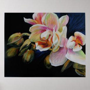 Orchids Poster