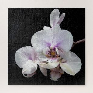 Orchids-Puzzle Puzzle