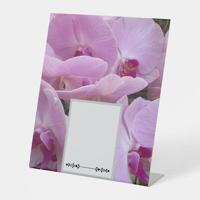 Orchids Sockelschild (Vorderseite)