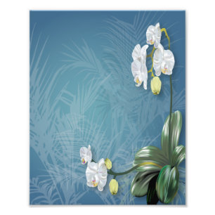 Orchids und Ferns Fotodruck
