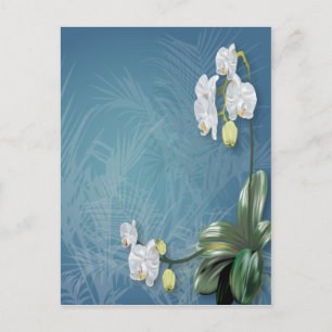 Orchids und Ferns Postkarte