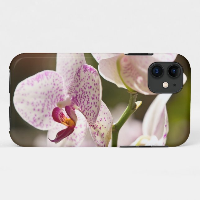 Orchids von Shirley Taylor Case-Mate iPhone Hülle (Rückseite (Horizontal))