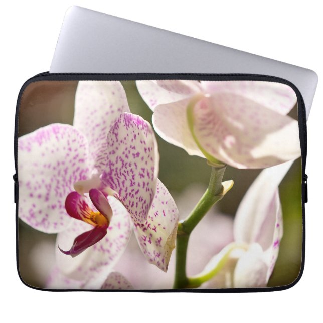 Orchids von Shirley Taylor Laptopschutzhülle (Vorderseite)