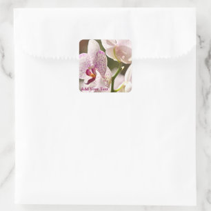 Orchids von Shirley Taylor Quadratischer Aufkleber